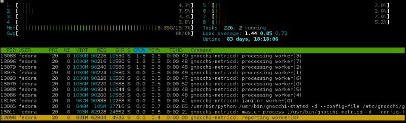 gnocchi+numpy