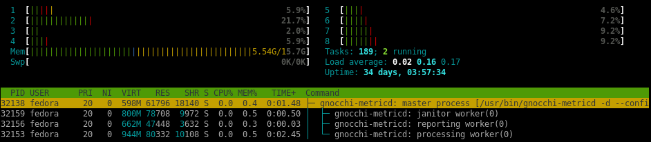 gnocchi4.2 htop