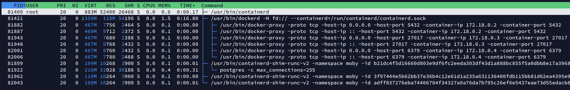 docker htop